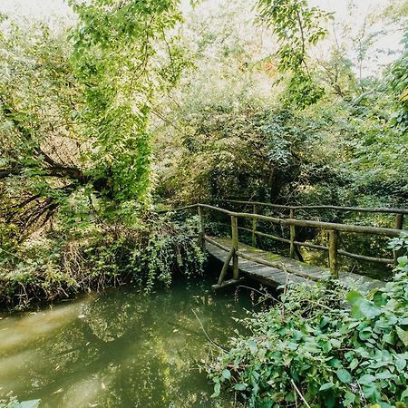 Forest House Palić エクステリア 写真