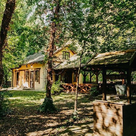 Forest House Palić エクステリア 写真