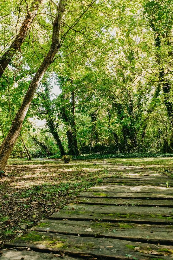 Forest House Palić エクステリア 写真