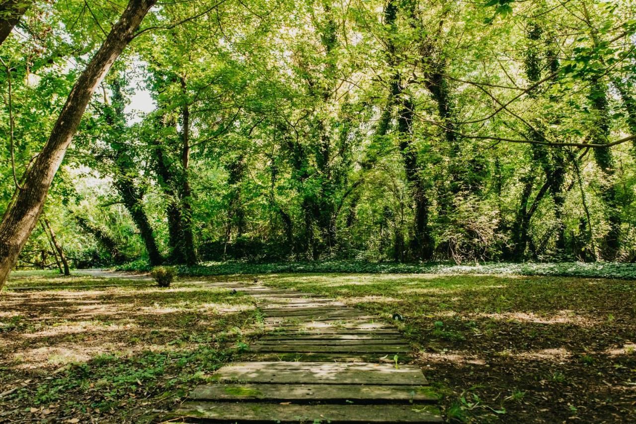 Forest House Palić エクステリア 写真