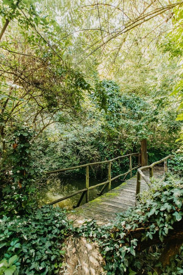 Forest House Palić エクステリア 写真