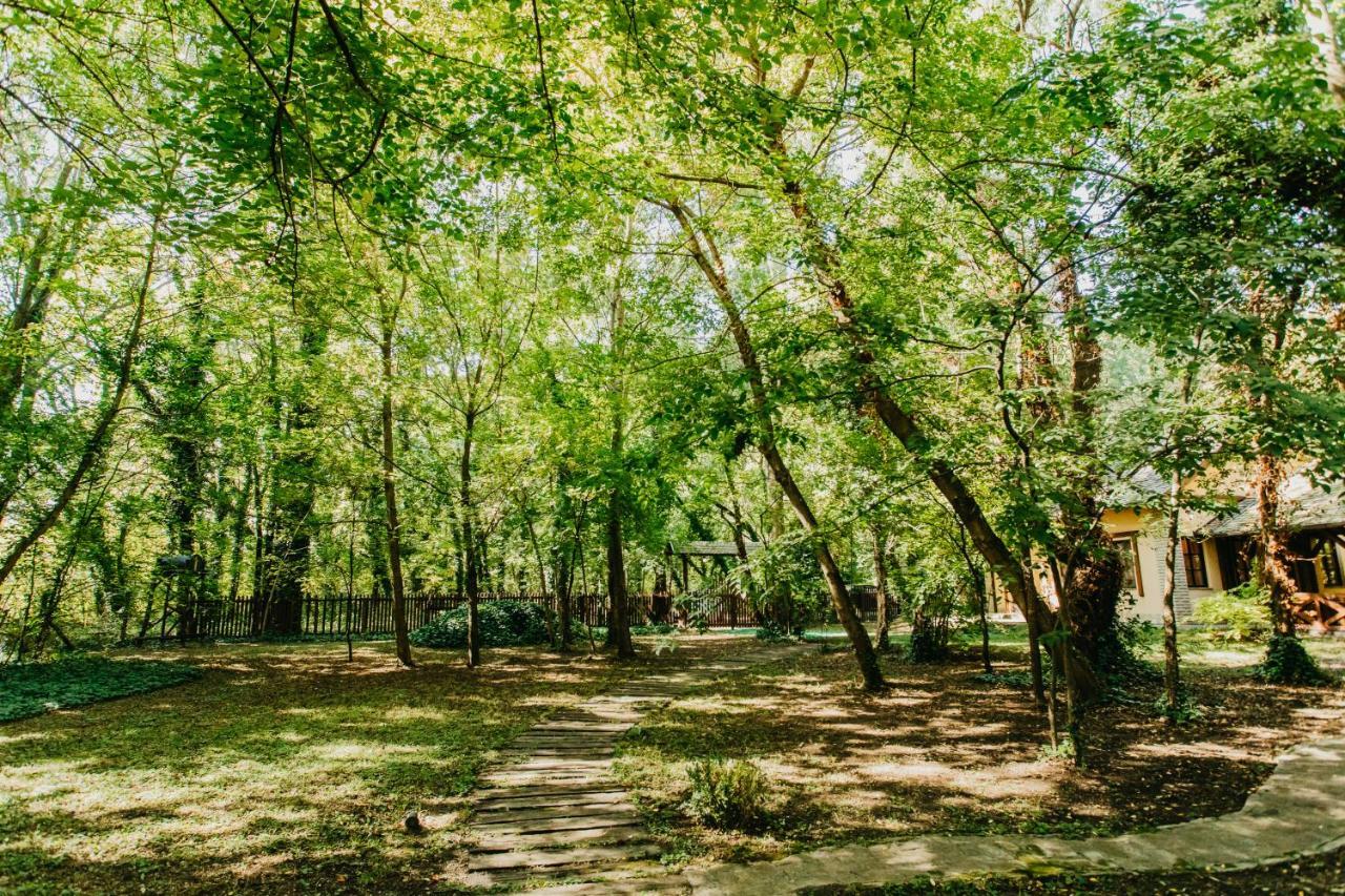 Forest House Palić エクステリア 写真
