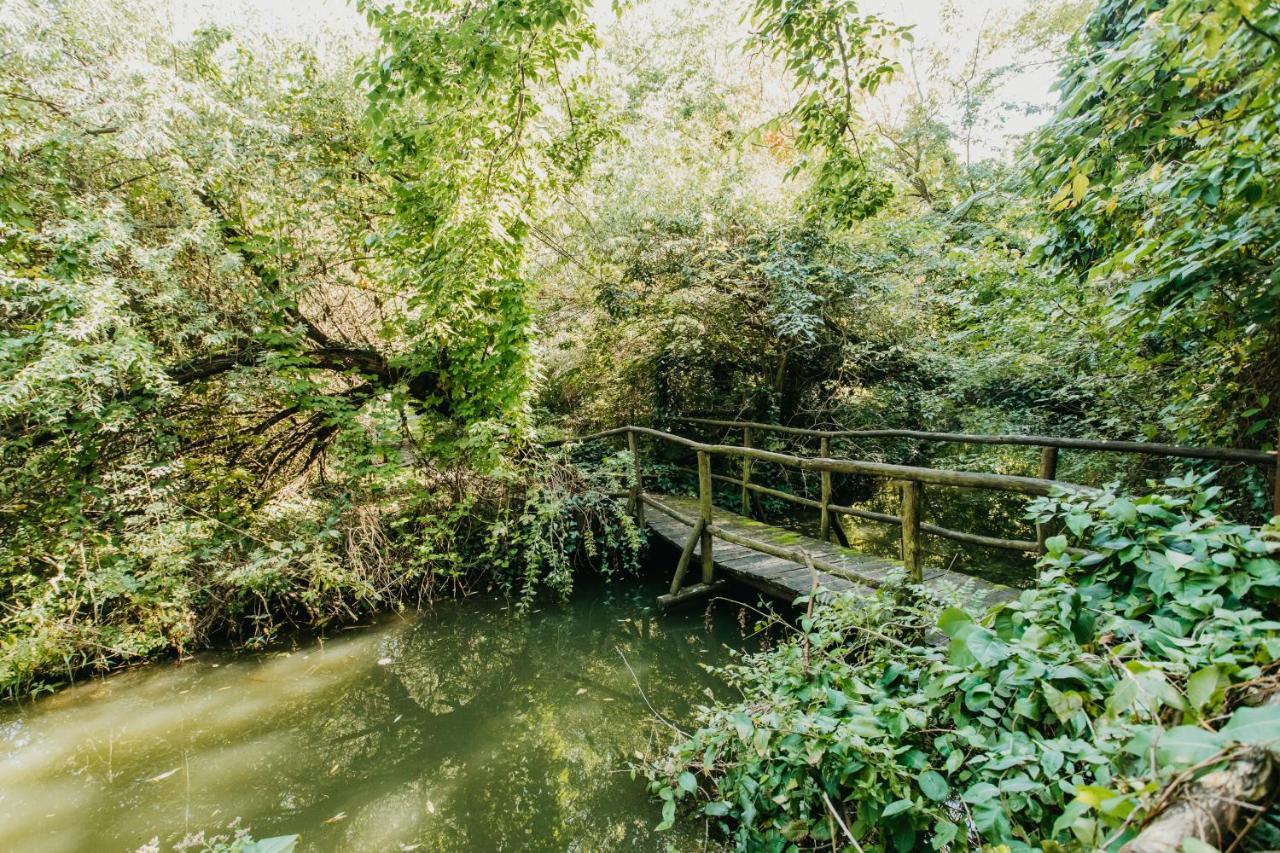 Forest House Palić エクステリア 写真