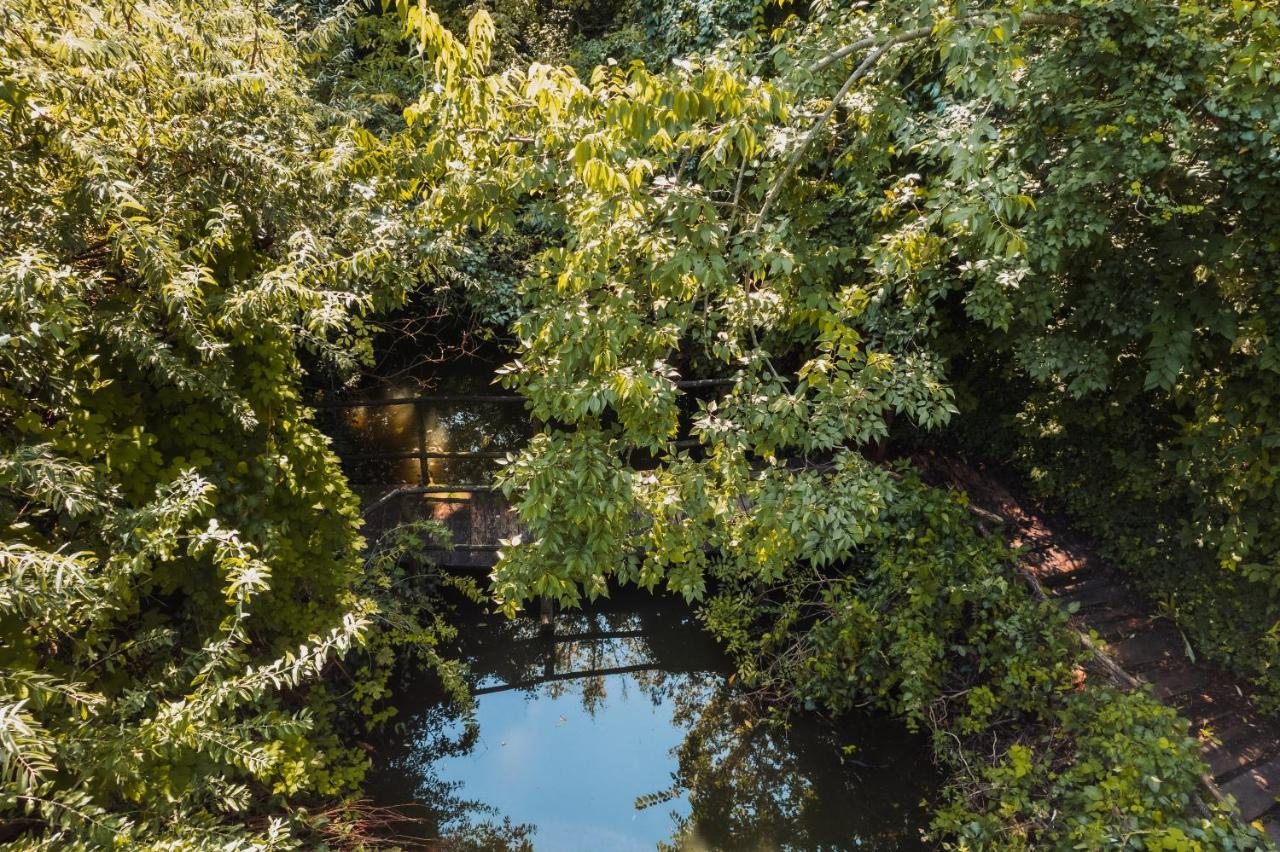 Forest House Palić エクステリア 写真