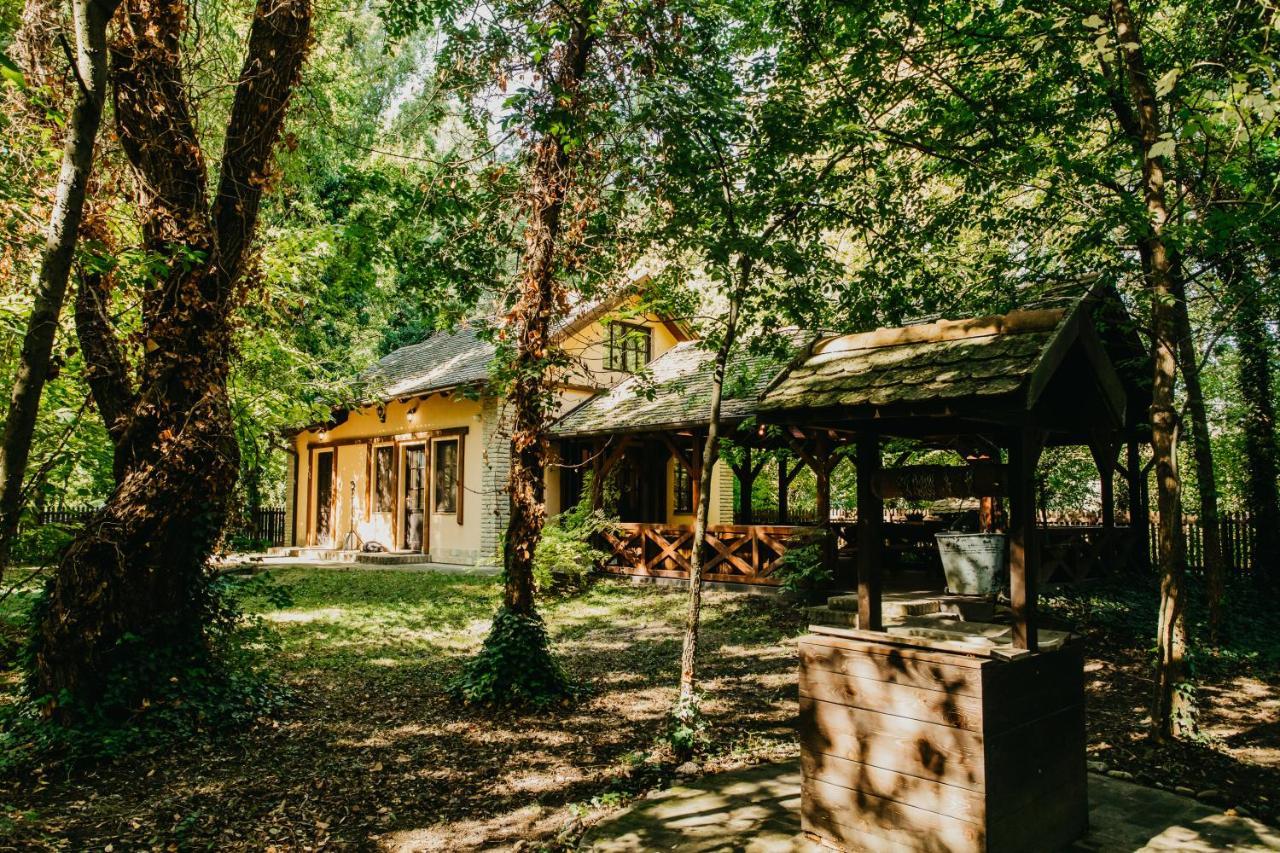 Forest House Palić エクステリア 写真