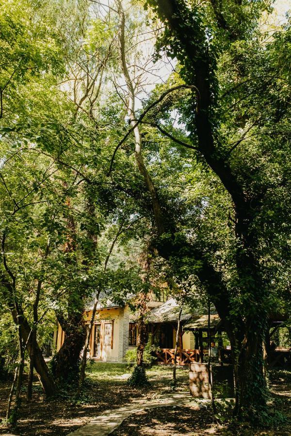Forest House Palić エクステリア 写真
