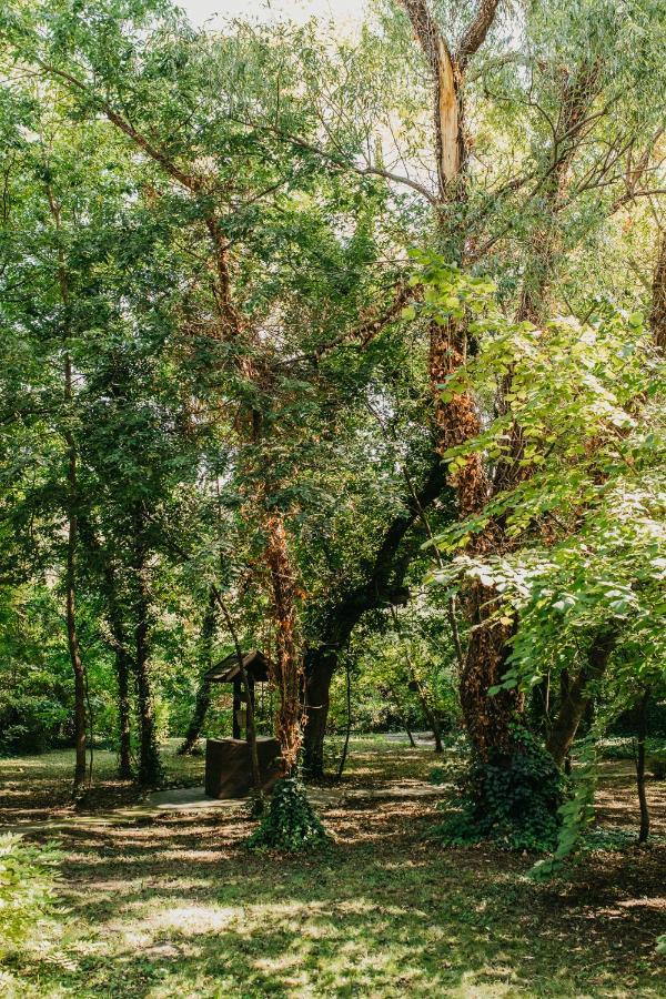 Forest House Palić エクステリア 写真